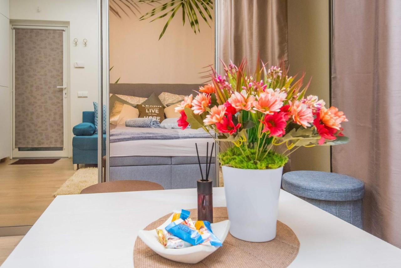 Cozy Vaivorykstes Apartment Palanga Exteriér fotografie