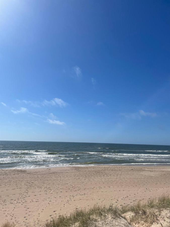 Cozy Vaivorykstes Apartment Palanga Exteriér fotografie